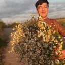 ���������� �����-���������, ���� ����� Ali, 25 ���, ������������ ��� ������, ����� � ���������