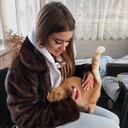 ���������� ������, ���� ������� ���������, 24 ����, ������������ ��� ������, ����� � ���������