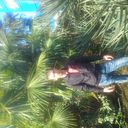 ���������� �����, ���� ������� ����, 41 ���, ������������ ��� ������, ����� � ���������, c�������� ���������, ���������