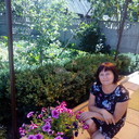 ���������� �����, ���� ������� �����, 38 ���, ������������ ��� ������, ����� � ���������, c�������� ���������