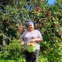  ,   , 61 ,     