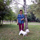  ,   , 65 ,     , c 