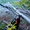 ���������� ����������, ���� ������� ����, 43 ����, ������������ ��� ������, ����� � ���������, ���������