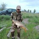 ���������� ���������, ���� ������� �������, 46 ���, ������������ ��� ������