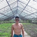 ���������� �������, ���� ������� ������, 38 ���, ������������ ��� ������, ����� � ���������, c�������� ���������