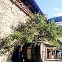 ���������� ����, ���� ������� ���������, 33 ����, ������������ ��� ������, ����� � ���������