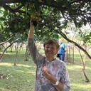  ,   , 65 ,   c , 