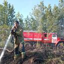 ���������� �����, ���� ������� ������, 37 ���, ������������ ��� ����� � ���������, c�������� ���������