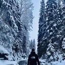 ���������� �����-���������, ���� ������� ���������, 38 ���, ������������ ��� ������, ����� � ���������, c�������� ���������