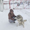 ���������� ������, ���� ������� ����, 49 ���, ������������ ��� ������, ����� � ���������, c�������� ���������