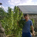 ,   Maga, 39 ,   ,   , c 