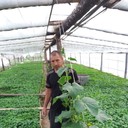 ���������� ������, ���� ������� ������, 46 ���, ������������ ��� ������, ����� � ���������, c�������� ���������