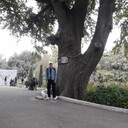 ���������� ������������, ���� ������� ���������, 52 ����, ������������ ��� ������, ����� � ���������, c�������� ���������, ���������