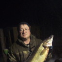 ���������� ���������, ���� ������� �����, 43 ����, ������������ ��� ������, ����� � ���������, c�������� ���������