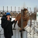 ���������� �������, ���� ������� ������, 49 ���, ������������ ��� ������, ����� � ���������