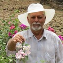  Grimma,   IHOR, 79 ,   ,   , c 