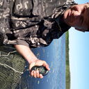 ���������� ������ ��������, ���� ������� �������, 43 ����, ������������ ��� ������, ����� � ���������