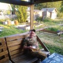  ,   , 55 ,   