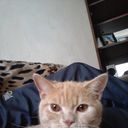  ,   Vlad, 48 ,   ,   , c 