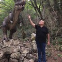 ���������� ����, ���� ������� Rovmed, 60 ���, ������������ ��� ����� � ���������, c�������� ���������