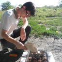 ���������� ���������, ���� ������� ������, 33 ����, ������������ ��� ������, ����� � ���������, c�������� ���������