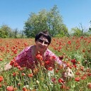  ,   , 75 ,   ,   , 