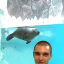 ���������� �����������, ���� ������� ����, 36 ���, ������������ ��� ����� � ���������, c�������� ���������