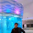 ���������� ������, ���� ������� ����, 43 ����, ������������ ��� ������, ����� � ���������, c�������� ���������