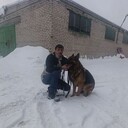 ���������� ������, ���� ������� ��������, 41 ���, ������������ ��� ������, ����� � ���������