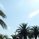 ���������� ����, ���� ������� ��������, 50 ���, ������������ ��� ������, ����� � ���������, c�������� ���������, ���������