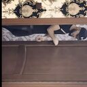 ���������� �������, ���� ������� Sunat, 36 ���, ������������ ��� ������, ����� � ���������