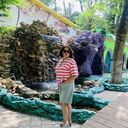 ���������� ����������, ���� ������� �������, 60 ���, ������������ ��� c�������� ���������