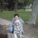  ,   , 55 ,  