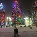 ���������� �������, ���� ������� �����, 48 ���, ������������ ��� c�������� ���������