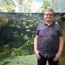 ���������� ������, ���� ������� ����, 43 ����, ������������ ��� ����� � ���������, c�������� ���������