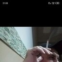  --,   , 46 ,   ,   , c , 