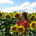 ���������� ��������, ���� ������� ��������, 50 ���, ������������ ��� ������, ����� � ���������, c�������� ���������