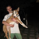 ���������� �������, ���� ������� �����, 41 ���, ������������ ��� ����� � ���������, c�������� ���������