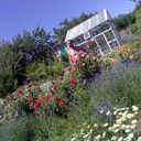 ���������� ���������, ���� ������� �������, 48 ���, ������������ ��� ����� � ���������, c�������� ���������