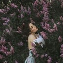  ,   , 27 ,   
