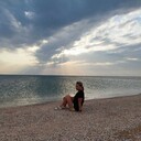 ���������� ������, ���� ������� �����, 40 ���, ������������ ��� ������, ����� � ���������