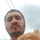 ���������� ������, ���� ������� ����, 38 ���, ������������ ��� ������, ����� � ���������