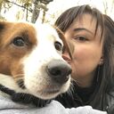 ���������� ������, ���� ������� ���, 40 ���, ������������ ��� c�������� ���������