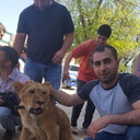 ���������� ����������, ���� ������� �����, 38 ���, ������������ ��� ������, ����� � ���������