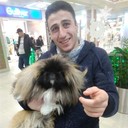 ���������� ������������, ���� ������� MANCH, 31 ���, ������������ ��� ������, ����� � ���������, c�������� ���������