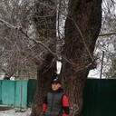 ���������� ������, ���� ����� �������, 23 ����, ������������ ��� ������, ����� � ���������