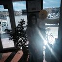 ���������� ������, ���� ������� ����, 28 ���, ������������ ��� ���������