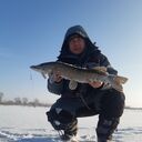 ���������� �����, ���� ������� �������, 37 ���, ������������ ��� ������, ����� � ���������