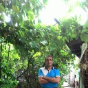  ,   Alim, 50 ,   