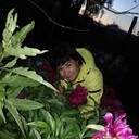   ,   , 47 ,   ,   , c 